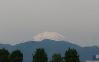 ファイル 5598-1.jpg